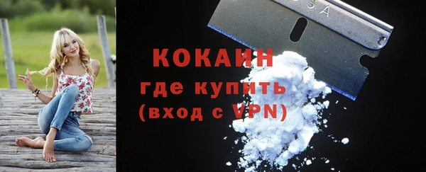 твердый Арсеньев