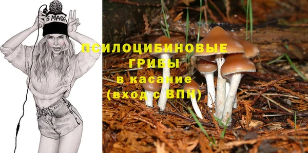 дурь Армянск