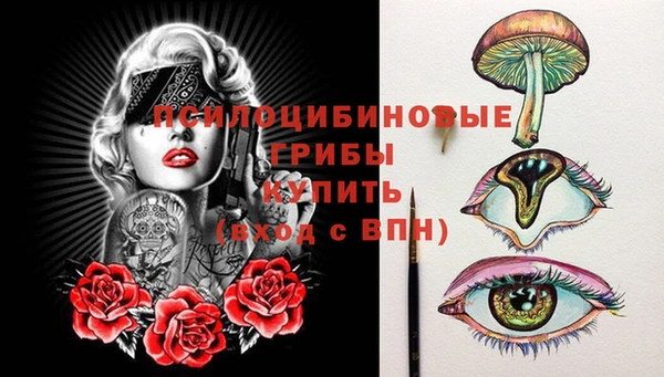 твердый Арсеньев