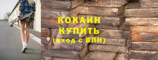 твердый Арсеньев