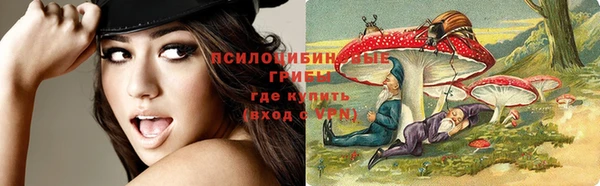 дурь Армянск