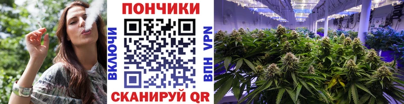 как найти наркотики  Чапаевск  Конопля индика 